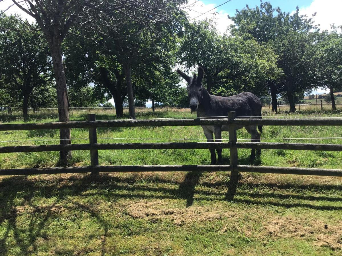 Appartamento Les Petits Champs Buais-les-Monts Esterno foto