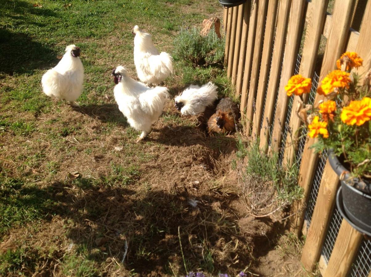 Appartamento Les Petits Champs Buais-les-Monts Esterno foto