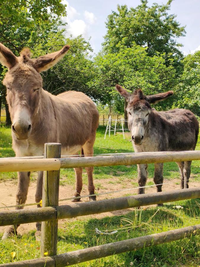 Appartamento Les Petits Champs Buais-les-Monts Esterno foto